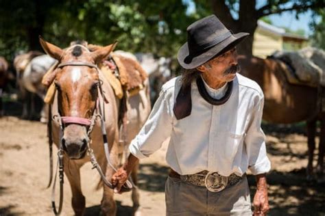 No-Till Farming: Sustainable Agriculture in Argentina - The Borgen Project