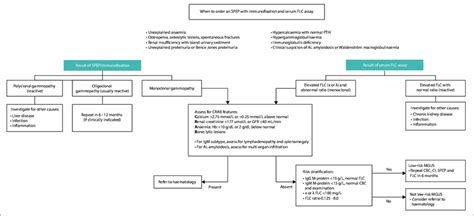 Interpretation of serum protein electrophoresis and serum free... | Download Scientific Diagram