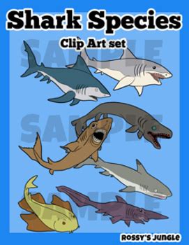 Shark Species by Rossy's Jungle | Teachers Pay Teachers