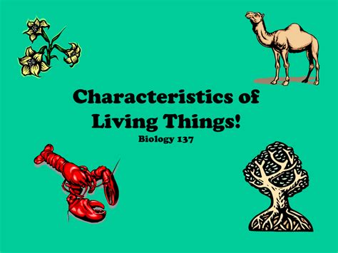 Characteristics of Living Things!