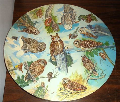 VINTAGE 1973 SPRINGBOK CIRCULAR JIGSAW PUZZLE " OWLS"NEW-SEALED PZL 60545 NICE!! | Owl, Bird ...