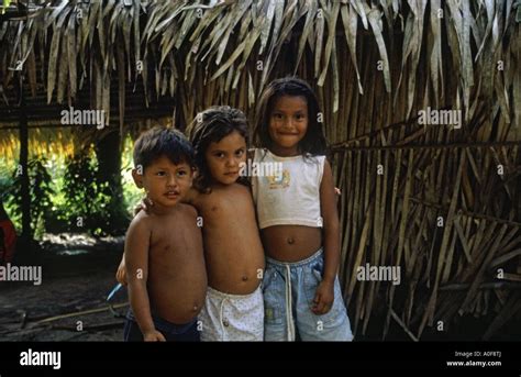 Three tribal children in an Amazon rainforest village Ariau near Manaus ...