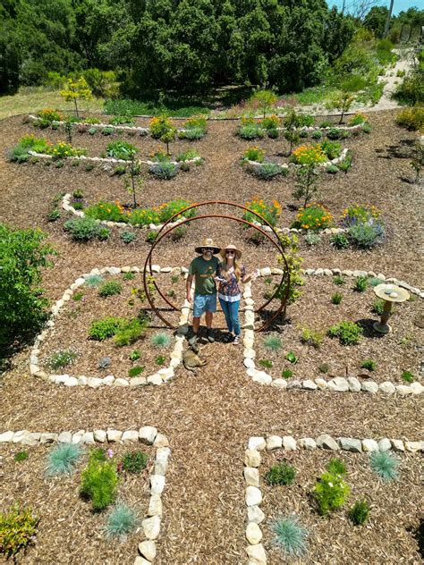 New Pollinator Orchard Garden on a Hill (Permaculture Berms Terraces ...