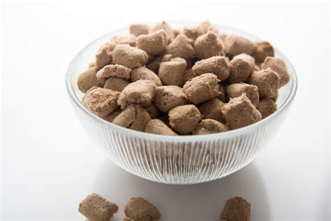 The Best Freeze Dried Dog Food of 2022 - Pet Life Today