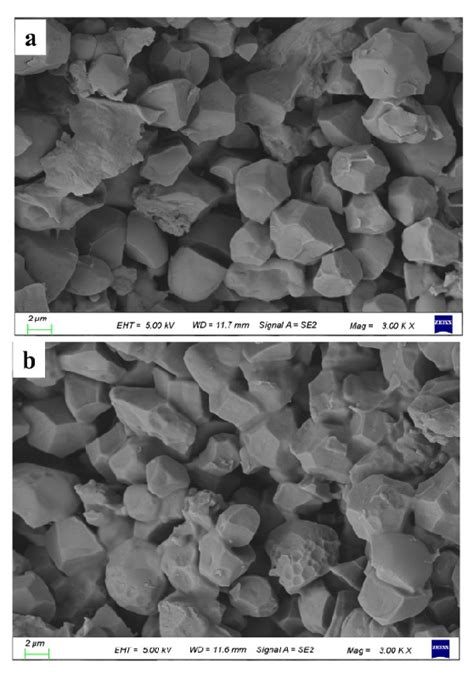 Effect of pre-gelatinisation on the microstructure of gluten-free rice ...