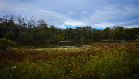 Skokie Lagoons - Forest Preserves of Cook County