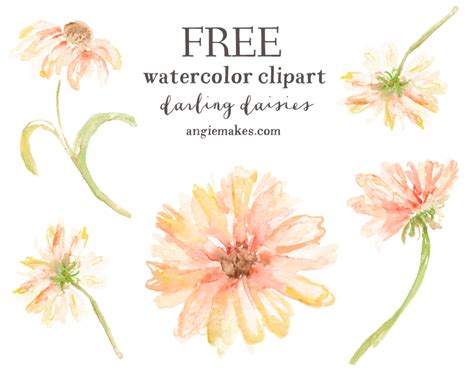 Free Watercolor Clip Art - Daisies