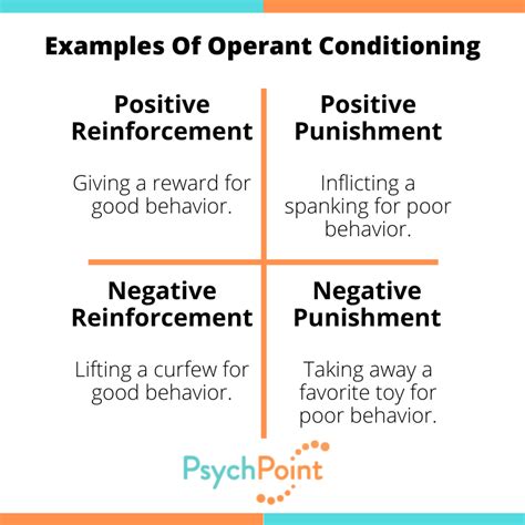 Examples of Operant Conditioning in Real Life