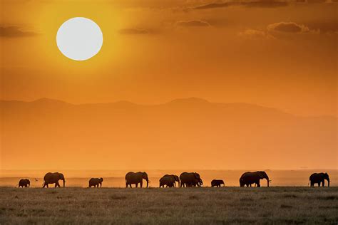 Sunrise Over Amboseli Photograph by Jeffrey C. Sink