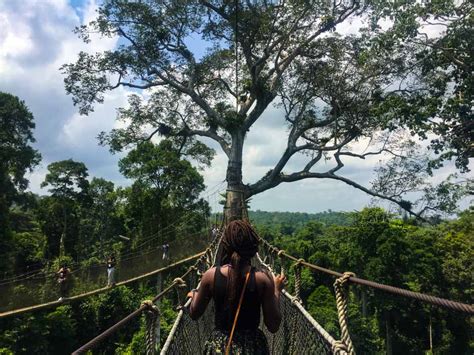 I Survived the Kakum National Park Canopy Walk - FindingAE