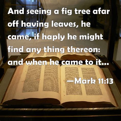 Mark 11:13 And seeing a fig tree afar off having leaves, he came, if haply he might find any ...