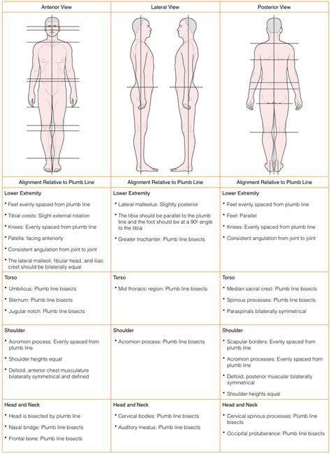 Postural Assessment Chart