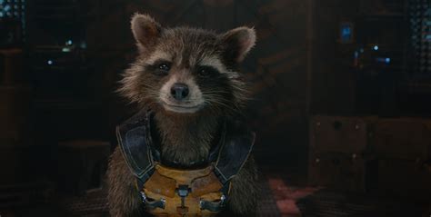 Guardians Of The Galaxy, Rocket Raccoon, Movies Wallpapers HD / Desktop ...