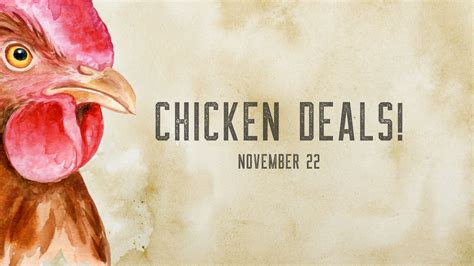 Amazon Chicken Deals Of The Day! | November 22 — Harvest Homesteaders