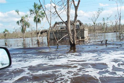 Hurricane Wilma | Hurricane wilma, Floridian, After the storm