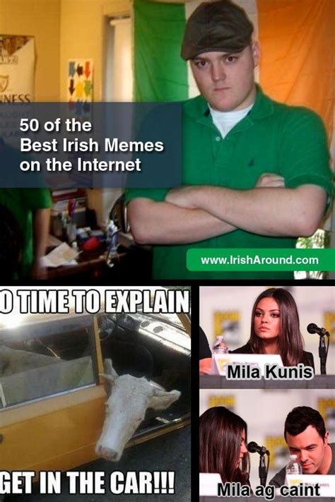 50+ Of The Most Epic Irish Memes On The Internet Ever 2020 | Irish ...