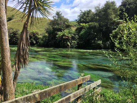 The blue Spring, Putaruru, New Zealand. : r/naturepics