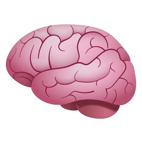 Brain Emoji Png 3714 Download