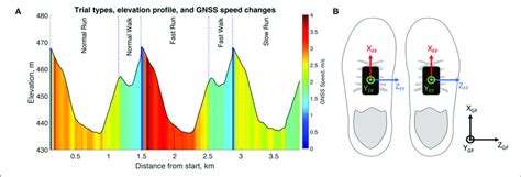 | (A) The elevation and speed of the running circuit. This figure was ...