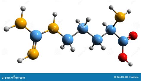 3D Image of Arginine Skeletal Formula Stock Illustration - Illustration ...