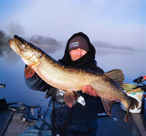 Pike angling season underway for Guided Predator Angling | Fishing in ...