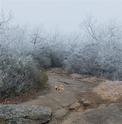 Blood Mountain Mountain Photo by Brad Schmidt | 12:39 pm 31 Dec 2017