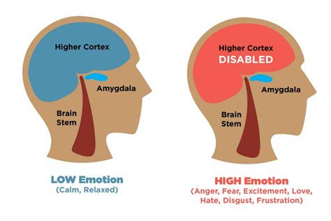 Amygdala Hijack: How It Works, Signs, & How To Cope