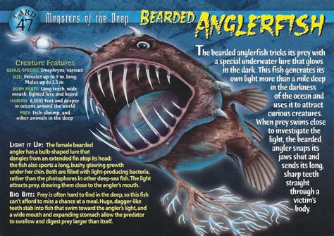 Pin on Weird and Wild Creatures - Monsters of the Deep