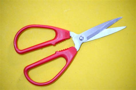 Red Handle Scissors Free Stock Photo - Public Domain Pictures