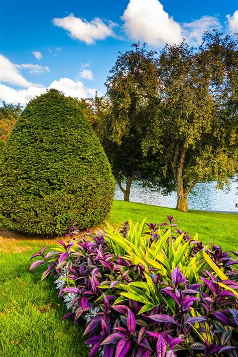 Flowers and Trees at the Public Garden in Boston, Massachusetts. Stock ...