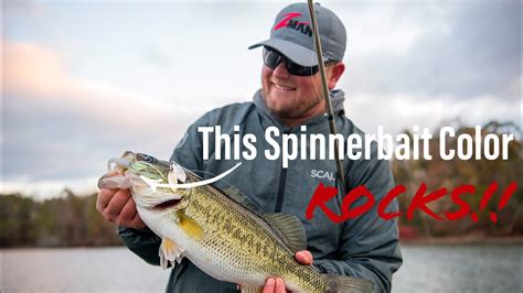 These SPINNERBAIT Colors NEVER Fail! - YouTube