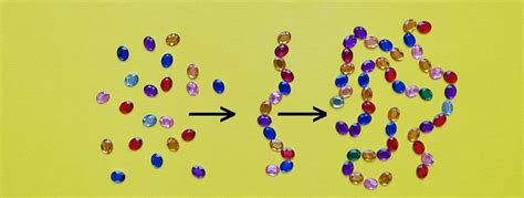 Polypeptide - The Definitive Guide | Biology Dictionary