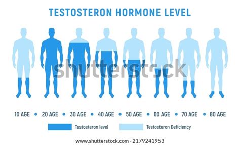 199 Levels Of Testosterone Stock Vectors, Images & Vector Art ...