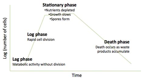 Bacterial Growth Curve - Microbiology - Medbullets Step 1