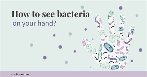 How to See Bacteria on Your Hand (Bacteria Handprint) - Rs' Science