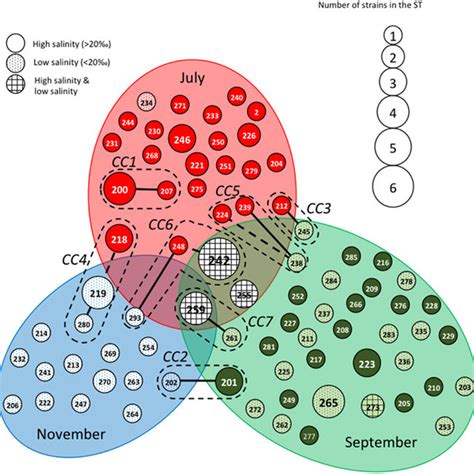 Population structure of Vibrio cholerae based on MLST data after ...