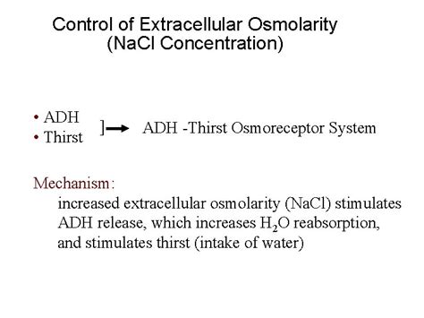 Regulation of Extracellular Fluid Osmolarity and Sodium Concentration