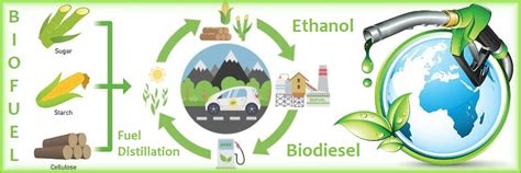 The Benefits of Biofuel Production