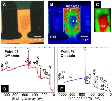 X-ray Photoelectron Spectroscopy (XPS) 101 – Fundamentals and Applications