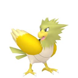 Spearow sprites gallery | Pokémon Database