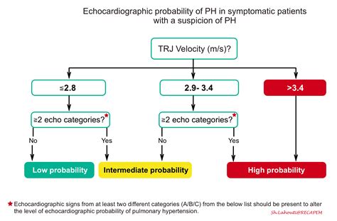 Pulmonary Hypertension: From Diagnosis To Critical Management In The Emergency Department ...