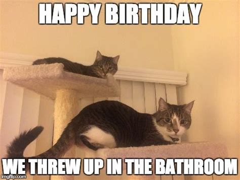 Pin by Missy Wink on Birthday LOLs | Funny cats, Cats, Kittens funny