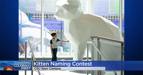 Help name the unofficial mascot at CSU's newest campus - CBS Colorado