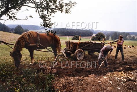 POLAND AGRICULTURE 22 LAF182362.JPG | Jean Pierre Laffont