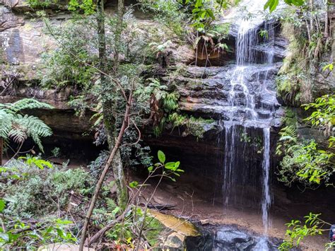 Horseshoe Falls Hazelbrook: A Stunning Blue Mountains Bushwalk With Glowworms