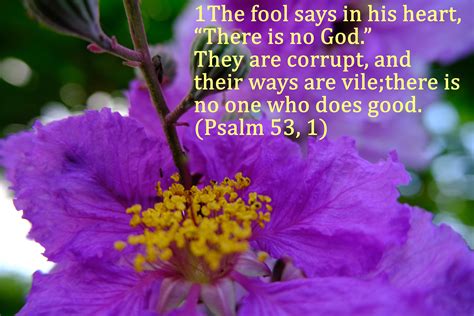 Psalm 53, 1 in 2020 | The fool, Sayings, God