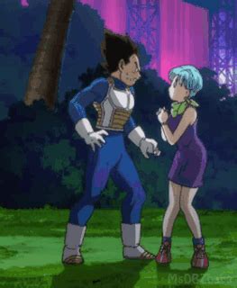 Vegeta y Bulma | Wiki | •Anime• Amino