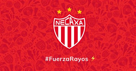 vóleibol Debe Darse prisa necaxa plantilla Almacén Galantería esclavo