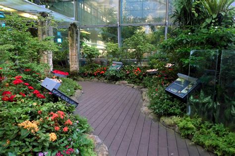 Butterfly Garden at Changi International Airport