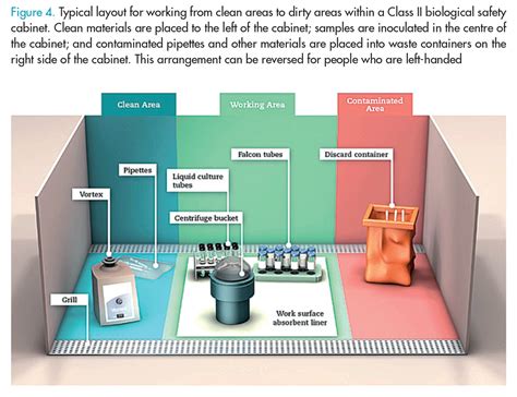 Biosafety Cabinet Cartoon